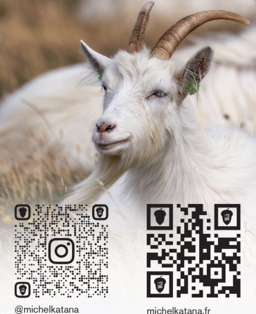 Шарф Унисекс FTW.C120_CASH-21R/FLAME